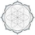 Vector mandala sacred geometry illustration