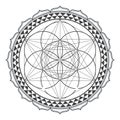 Vector mandala sacred geometry illustration