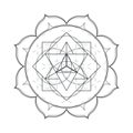 Vector mandala sacred geometry illustration