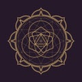 Vector mandala sacred geometry illustration