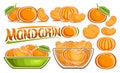 Vector Mandarin Set Royalty Free Stock Photo