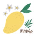 Vector mango clip art. Jungle fruit illustration. Hand drawn flat exotic plants isolated on white background. Bright childish