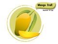 Vector Mango fruit isolated on color background,illustrator 10 eps