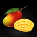 Vector Mango Realistic Illustration with leaf & Sliced Mango