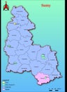 Vector map of the Ukraine administrative divisions of Sumy Region with City, City Council, District, Raion