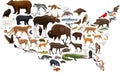 Vector map of USA with state animals Royalty Free Stock Photo