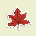 Vector maple leaf sticker on the light green background. Cartoon isolated autumn symbol with white contour and shadow Royalty Free Stock Photo