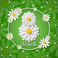 Vector 8 march international womens day green greeting card with chamomiles Royalty Free Stock Photo