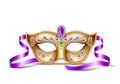 Vector mardi gras venetian mask brazil carnival