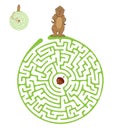 Vector Maze, Labyrinth with Marmot and Nut.