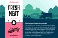 Vector meat illustration