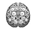 Vector Mechanical Human Brain. Silver Metal Cog Wheels And Gears. Cerebral Hemispheres, Convolutions Of The Mind Brain.