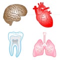 Vector medical icons