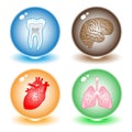 Vector medical icons