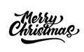 Vector merry christmas lettering script ink sign