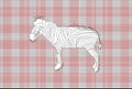 Vector Mesh and Zebra Royalty Free Stock Photo