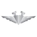 Vector metallic automotive badge on white.