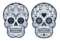 Vector Mexican Skulls with Patterns