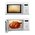 Vector microwave with roasted turkey or chicken