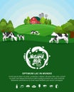 Vector milk illustration with milk splash, farm, cows and calves