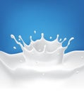 Vector milk splash with splashes isolated on a blue background. Royalty Free Stock Photo