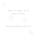 Vector minimal background for a pet related topic with paw prints. Vector hand drawn objects with a text.