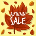 Vector cartoon hand drawn autumn leaf sale banner background Royalty Free Stock Photo