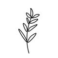 Vector minimalist plant leaf with a black line.One autumn simple hand drawn illustration
