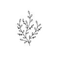 Vector minimalistic graphic, hand drawn floral icon. Branch with leaves.