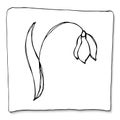 Vector minimalistic illustration of a snowdrop flower drawn by one line. Spring Drawing in Line Art Style Isolated on White