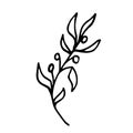 Vector minimalistic stylish plant with berries is perfect for the logo of eco-friendly products, tattoo design