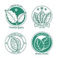 Vector mint leaf logo icons or menthol spearmint labels