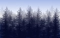 Vector misty forest landscape with silhouettes of coniferous trees.Vector.