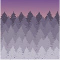 Vector misty spruce forest landscape. Brush silhouettes of coniferous trees. Vector violet illustration.