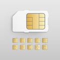 Vector Mobile Cellular Phone Sim Card Chip Set Royalty Free Stock Photo