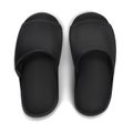 Black Slippers isolated
