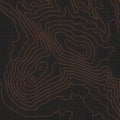 Vector Black Orange Topography Contour Map Abstract Cartographic Background