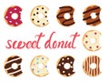 Vector glazed colorful donuts