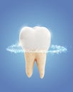 vector molar tooth. beauty and health. tooth cleaning and personal care