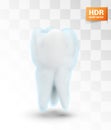vector molar tooth. beauty and health. tooth cleaning and personal care