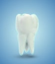 vector molar tooth. beauty and health. tooth cleaning and personal care