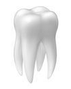 Vector molar tooth icon