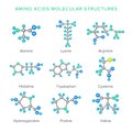 Vector molecular structures of amino acids isolated on white set Royalty Free Stock Photo