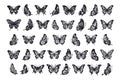 Vector monarch butterfly silhouette set cutout insect wing wing animal summer spring nature fly collection. Royalty Free Stock Photo