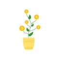 Vector Money Tree, Dollar Golden Coins, Isolated Money Plant in Flower Pot. Royalty Free Stock Photo
