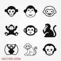 Vector monkey icon isolated on background. Animal symbol Royalty Free Stock Photo