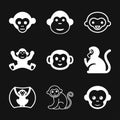 Vector monkey icon isolated on background. Animal symbol Royalty Free Stock Photo