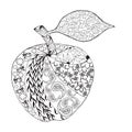 Vector Monochrome Apple zentangle style for coloring book. Royalty Free Stock Photo