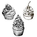 Vector monochrome background. Hand drawn sweet cupcakes collection with strawberry and cherry. Set for greeting card, postcard or Royalty Free Stock Photo