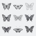 Vector Monochrome Black and White Hand Drawn Butterfly Icon Set Isolated on White Background. Butterflies Collection Royalty Free Stock Photo